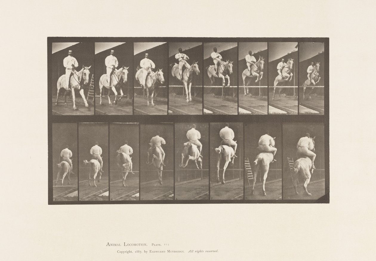 Tavle 644. Springer en Hurdle; Sadel; Rydning og landing af Eadweard Muybridge