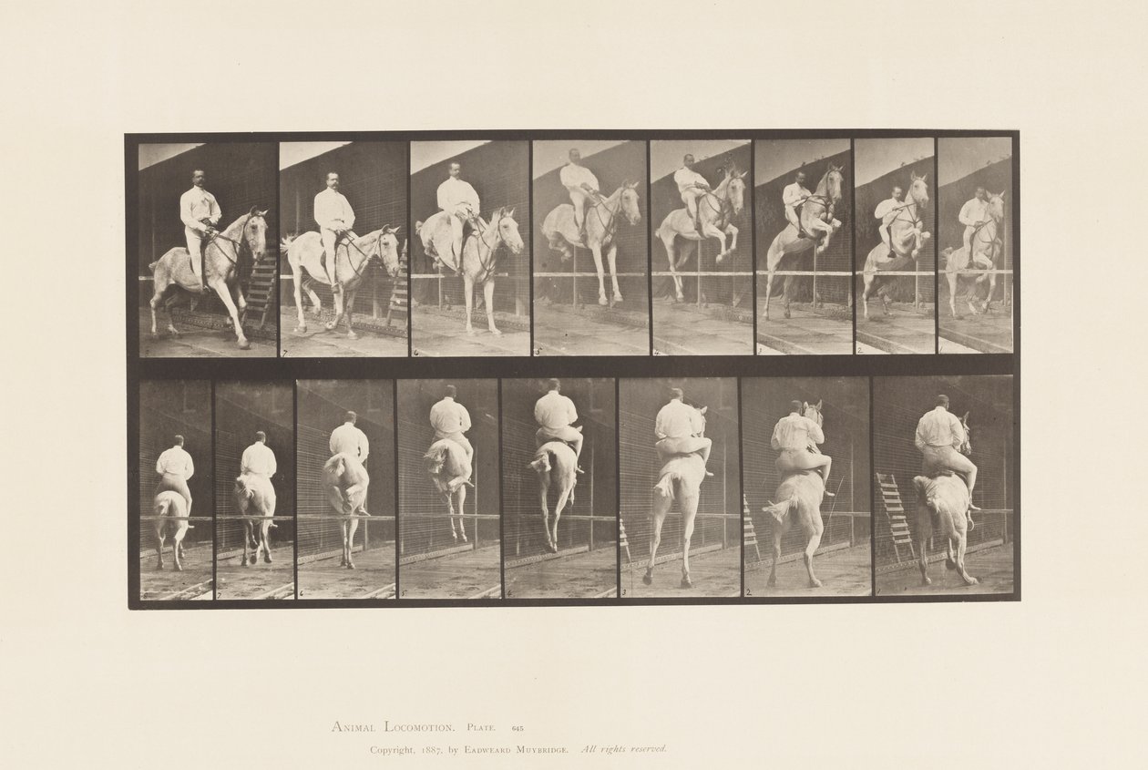 Plade 645. Hoppe en hæk; Sadel; Rydning og landing af Eadweard Muybridge