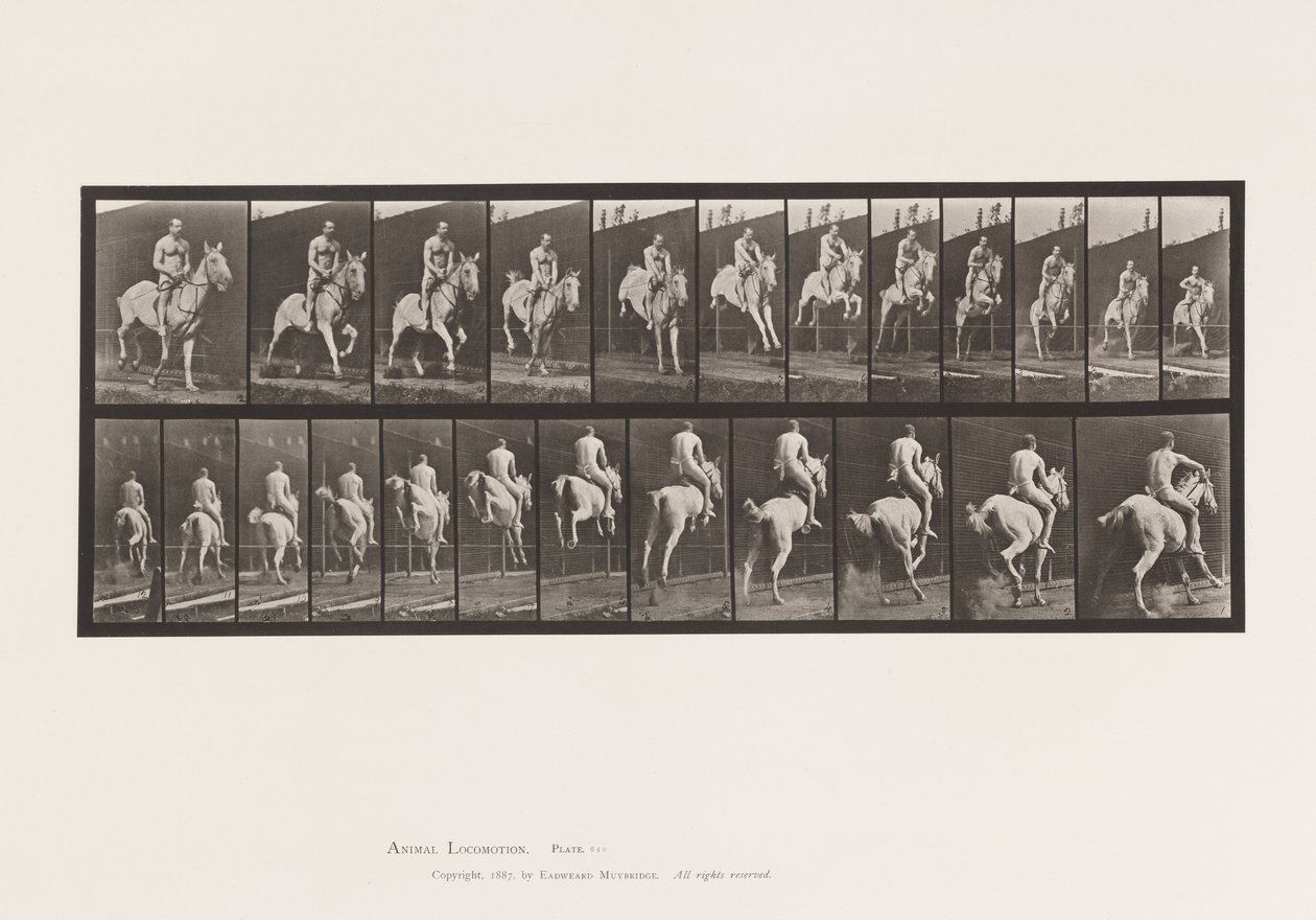 Plade 646. Hoppe en hæk; Sadel; Rytter, 105, Nøgen;, 1885 af Eadweard Muybridge