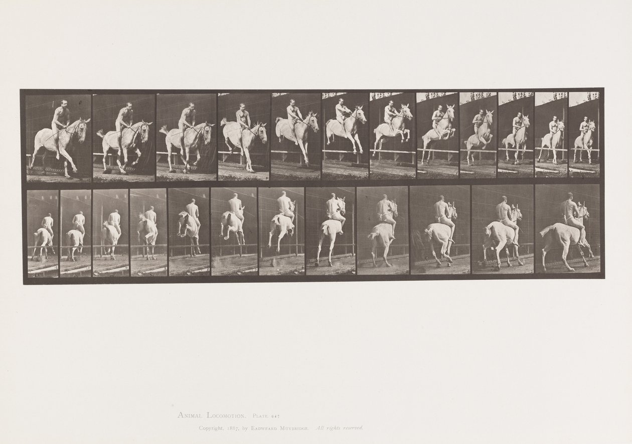 Tavle 647. Springer en Hurdle; Bareback; Rytter af Eadweard Muybridge