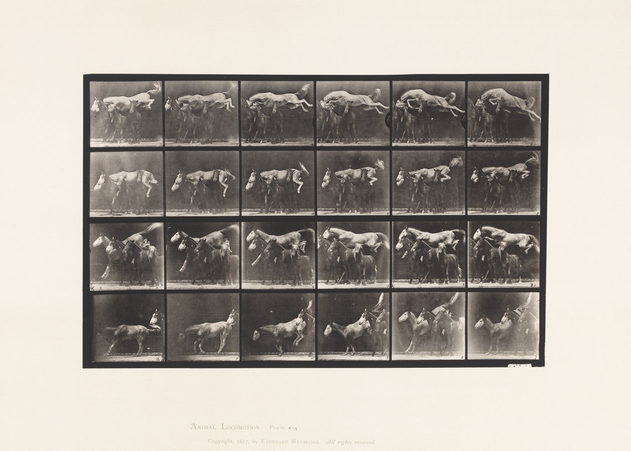 Tavle 648. Springer over tre Heste; A,B; Chestnut Horse Hornet af Eadweard Muybridge