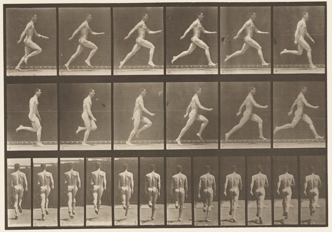 Plade 64. Kører i fuld fart af Eadweard Muybridge