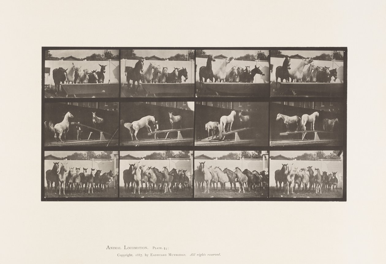 Tavle 651.A, Klokkering; B, Vippebræt; C, Militærøvelse af Eadweard Muybridge