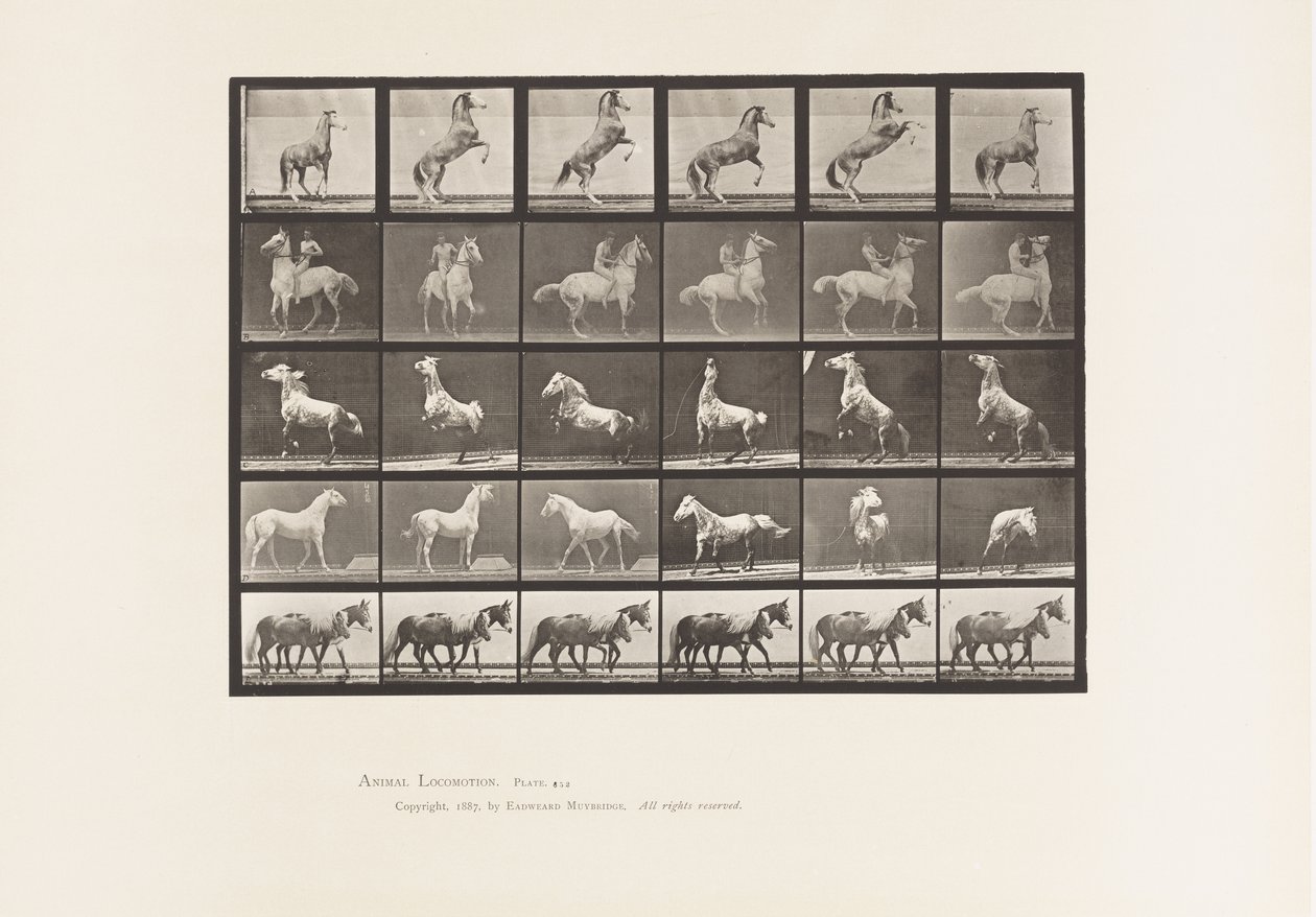 Plade 652. A, B, C, D, E, Hesteopdræt mv. af Eadweard Muybridge