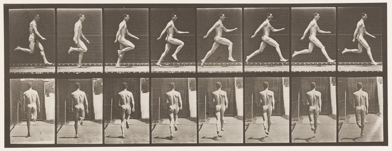 Plade 65. Kører i fuld fart., 1872-1885 af Eadweard Muybridge