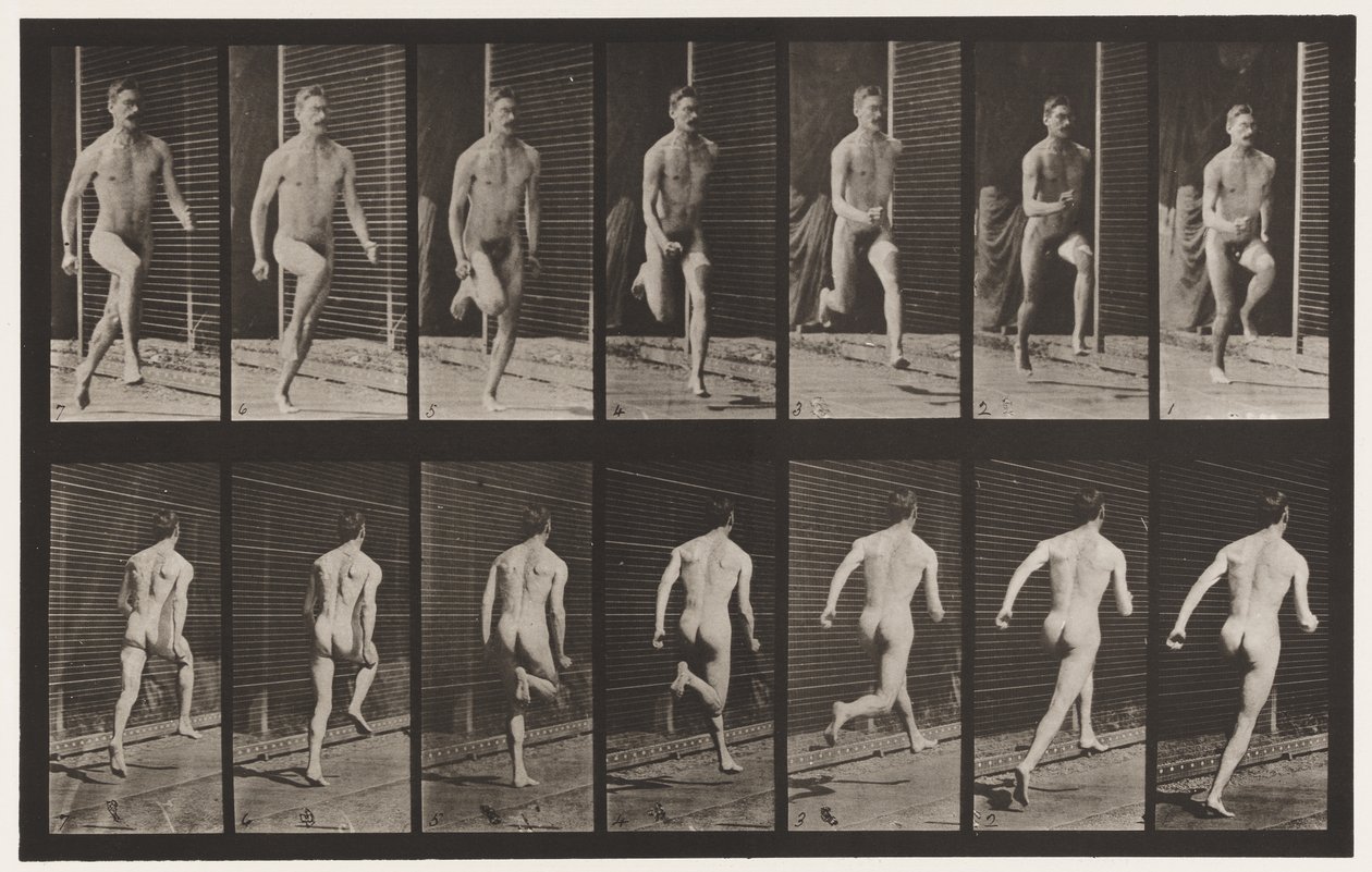 Plade 66. Løbende af Eadweard Muybridge