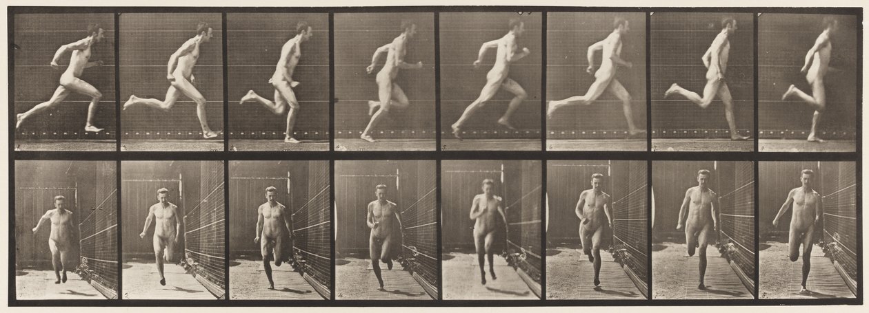 Tavle 67. Løbende, 1872-1885 af Eadweard Muybridge
