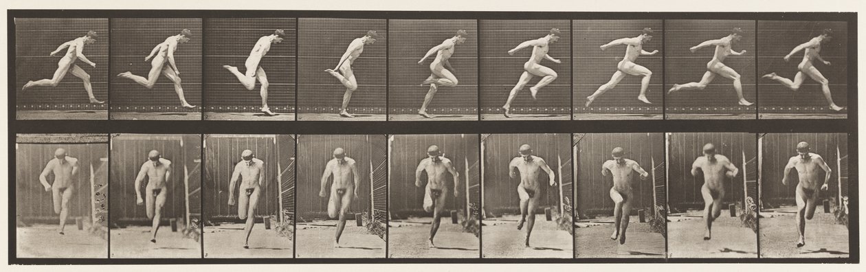 Tavle 68. Løbende, 1872-1885 af Eadweard Muybridge