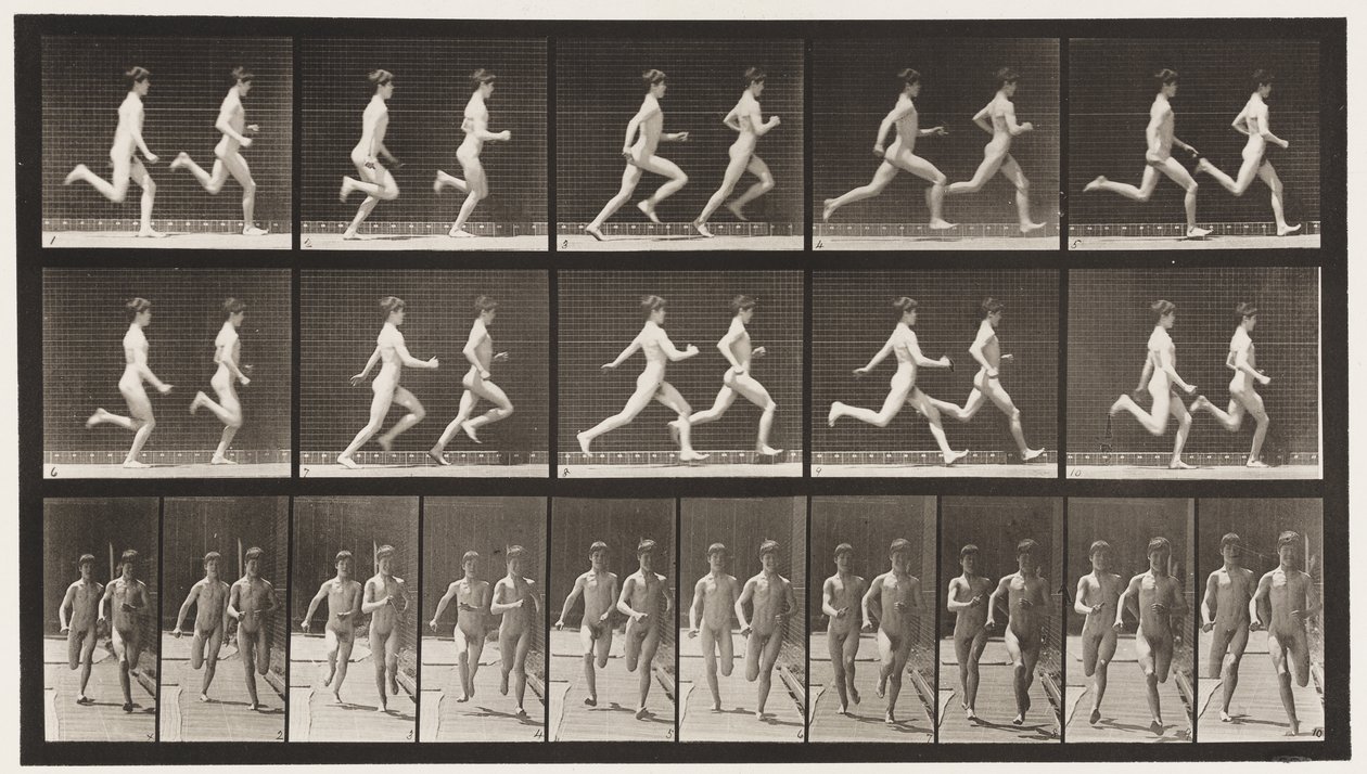 Plade 69. Kører to modeller, 1872-1885 af Eadweard Muybridge