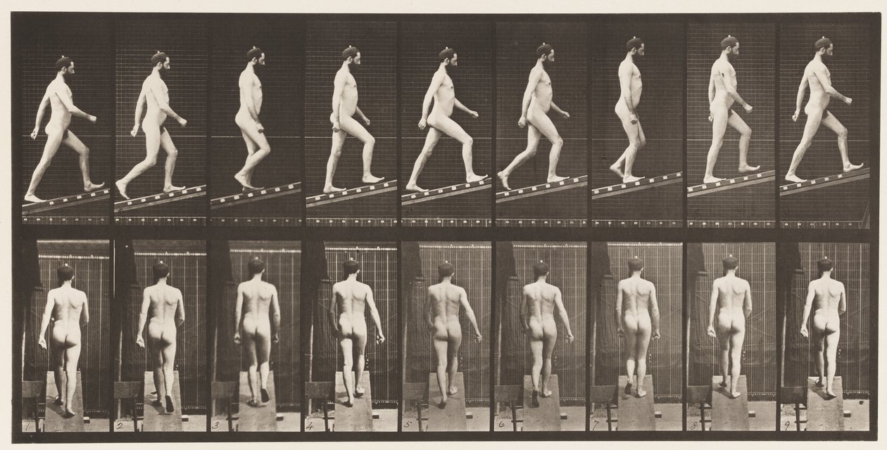 Plade 75. Stigende hældning, vinkel 1 i 4, 1872-1885 af Eadweard Muybridge