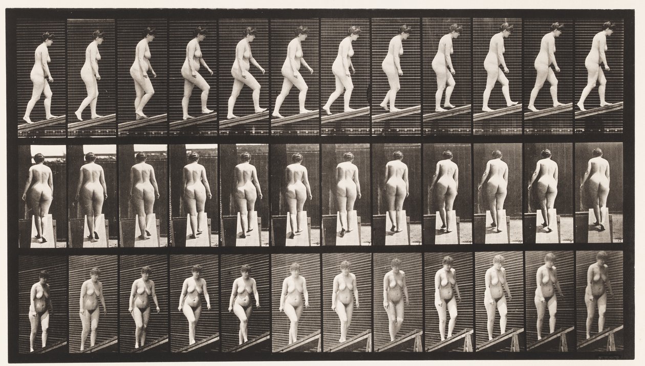 Plade 77. Stigende Hældning af Eadweard Muybridge