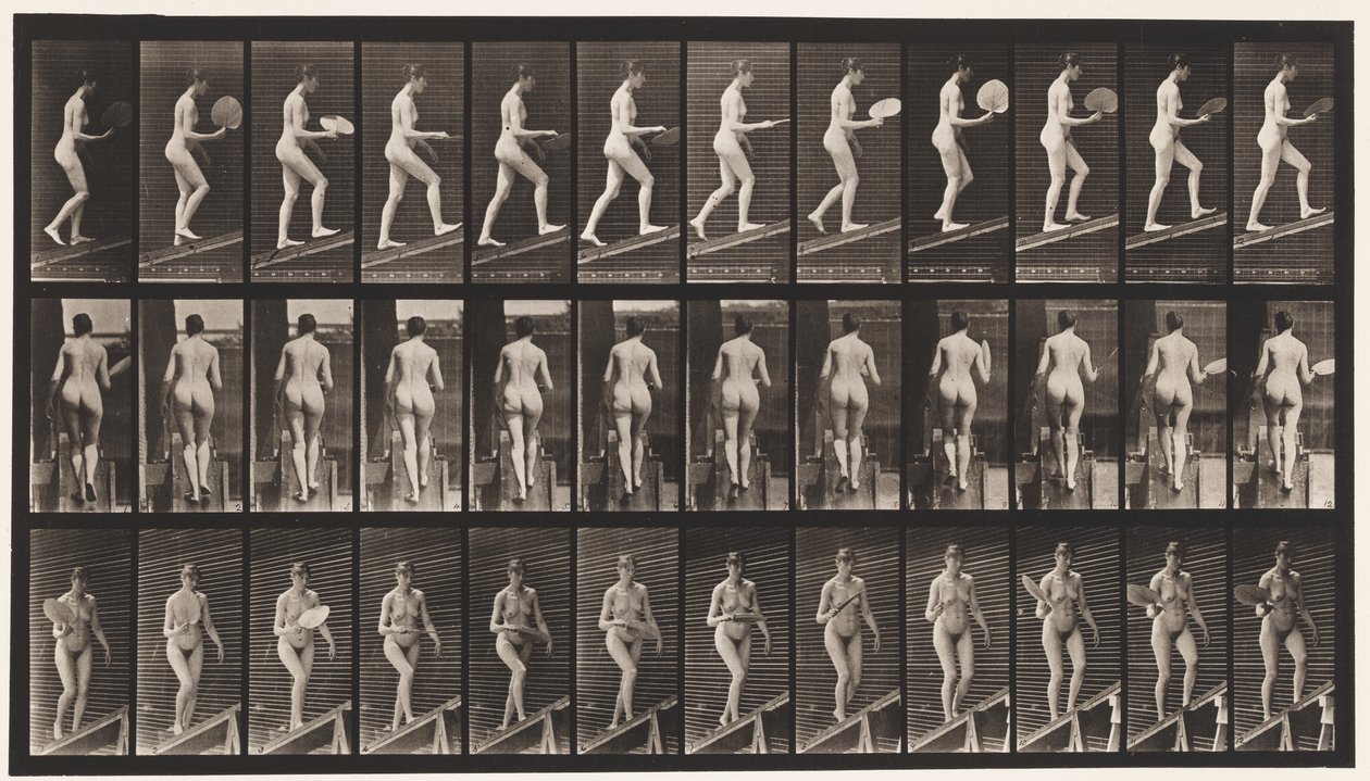 Plade 78. Ascending Incline, Flirting A Fan, 1872-1885 af Eadweard Muybridge