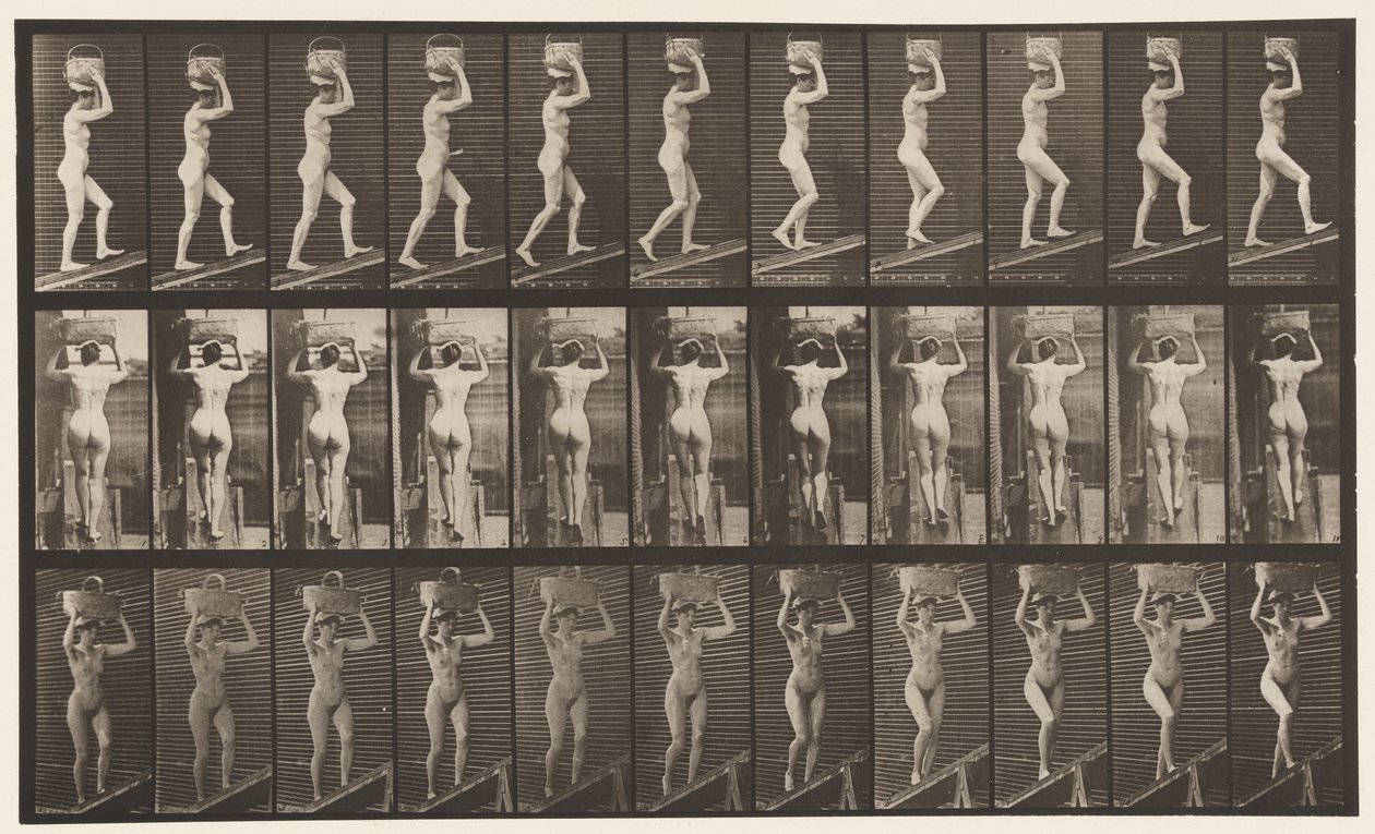 Plade 80. Stigende Hældning af Eadweard Muybridge