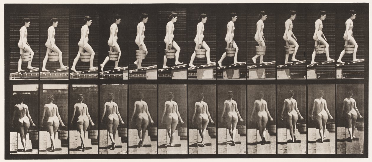 Plade 83. Stigende hældning, spand vand i højre hånd af Eadweard Muybridge