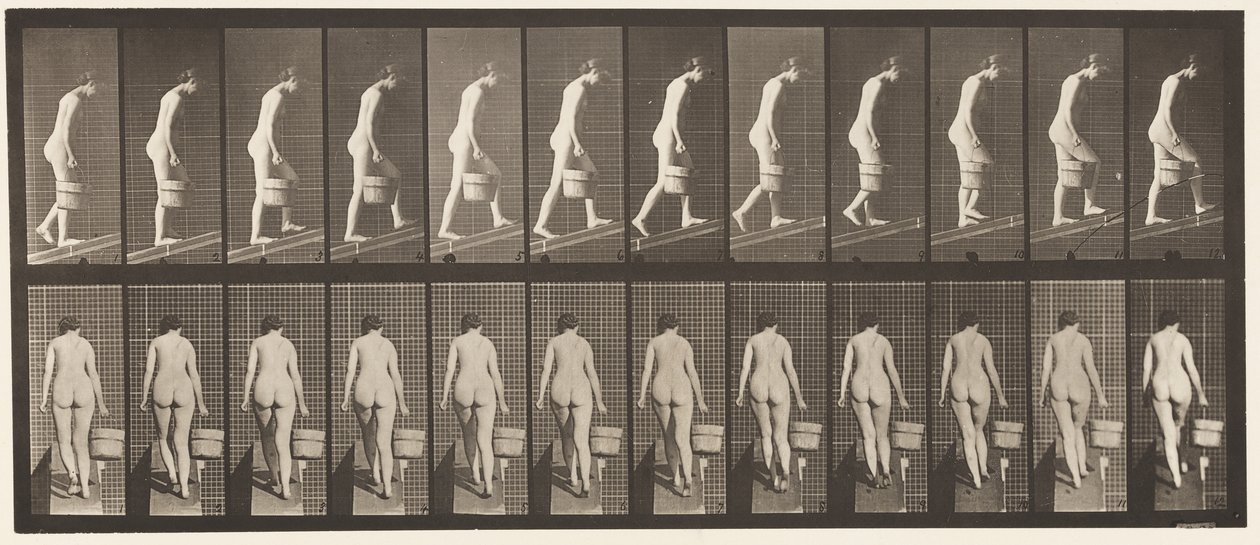 Plade 84. Stigende hældning, spand vand i højre hånd af Eadweard Muybridge