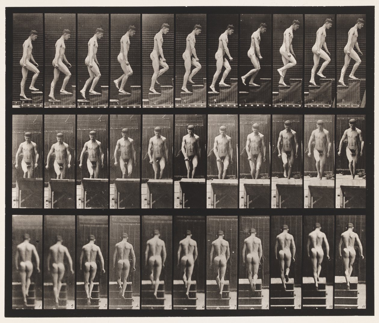 Tavle 88. Opstigende trapper, 1872-1885 af Eadweard Muybridge