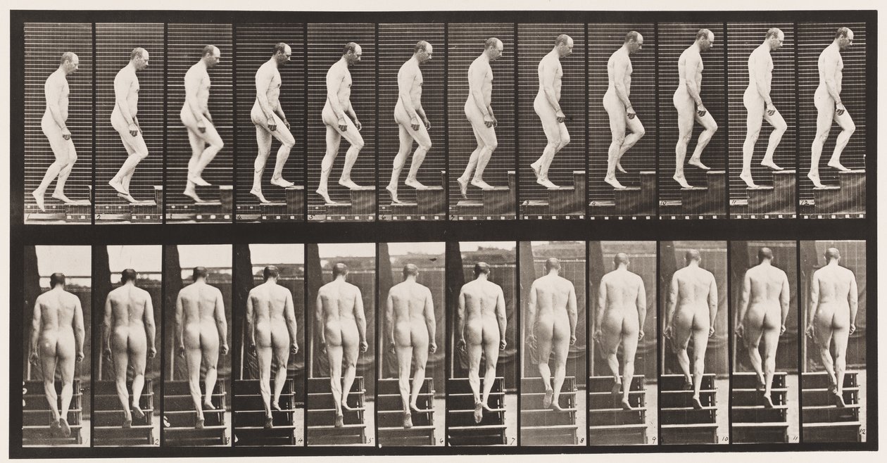 Tavle 89. Opstigende Trapper af Eadweard Muybridge