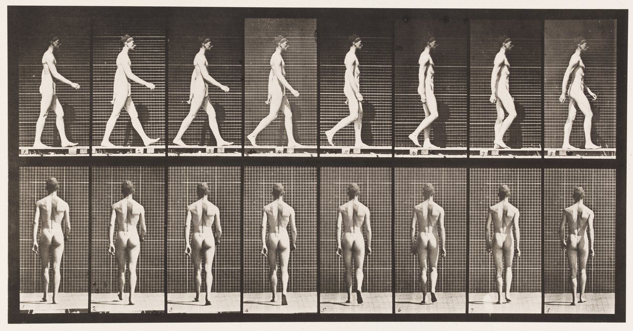 Plade 8. Gå af Eadweard Muybridge