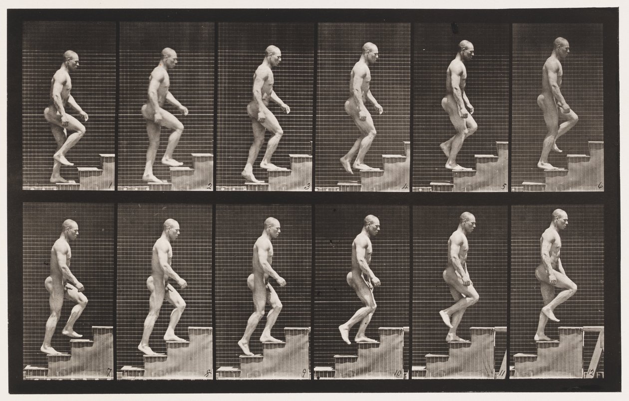 Tavle 91. Opstigende Trapper af Eadweard Muybridge