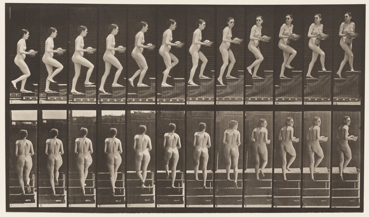 Tavle 94. Opstigende Trapper, der ser sig omkring; Bassin i hænderne af Eadweard Muybridge