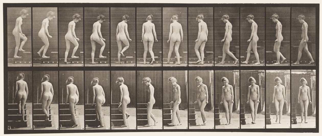 Tavle 98. Dreje- og opgangstrapper, 1872-1885 af Eadweard Muybridge