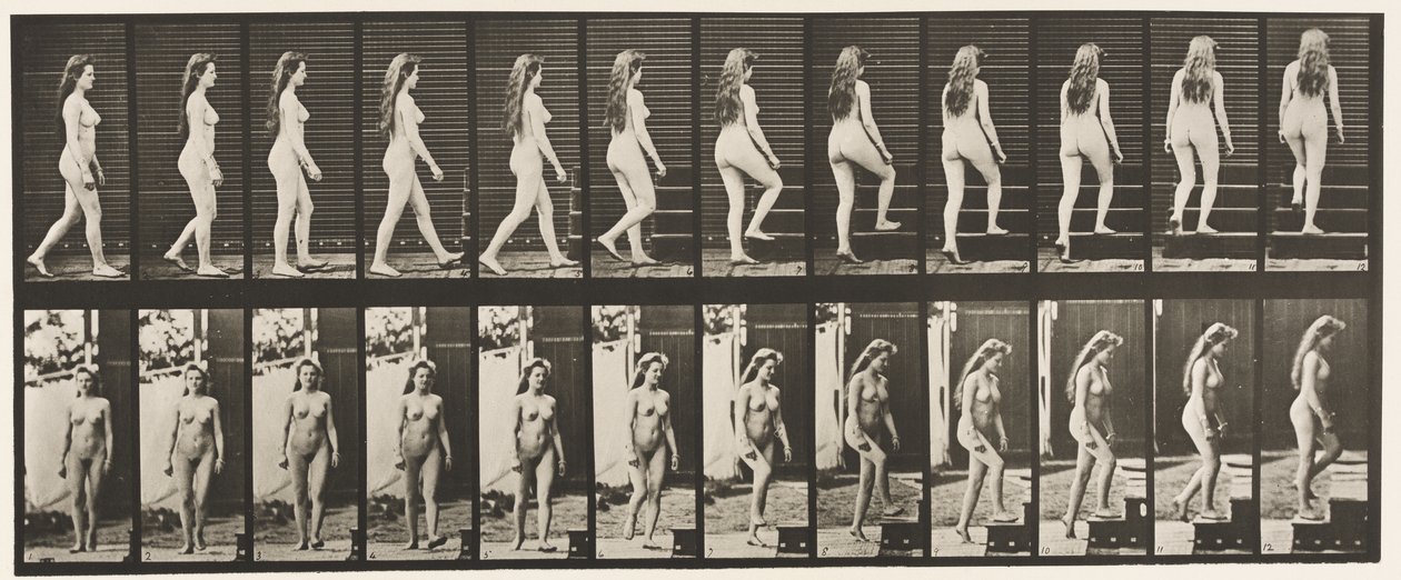 Tavle 99. Dreje- og opgangstrapper af Eadweard Muybridge