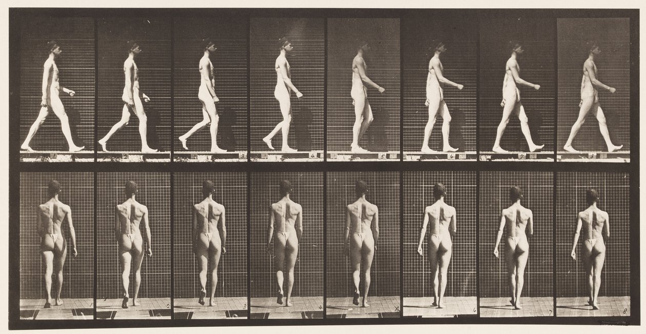 Tavle 9. Vandrende, 1872-1885 af Eadweard Muybridge