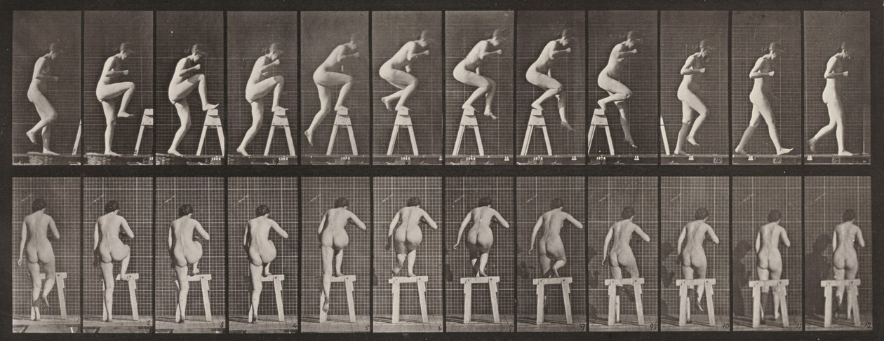 Tavle nummer 178. At træde op på og over en buk af Eadweard Muybridge