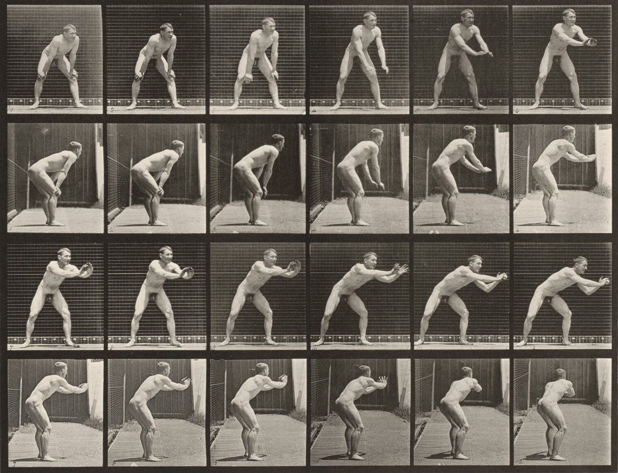 Planche nummer 280. Baseball, gribning af Eadweard Muybridge