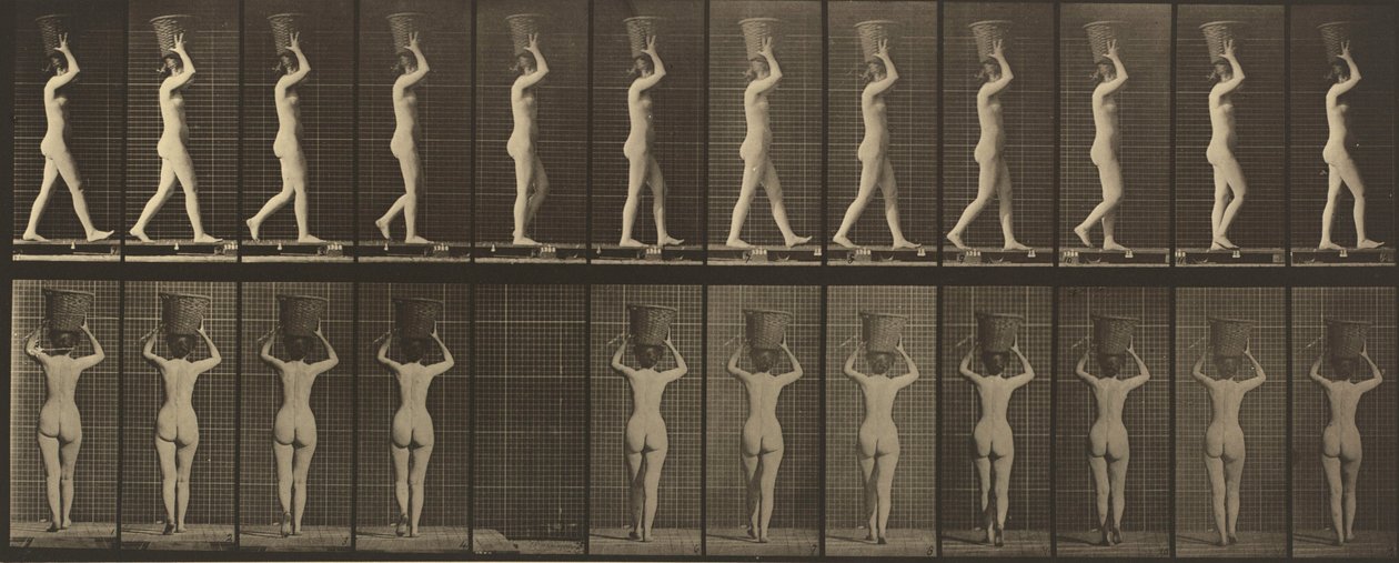 Tavle nummer 34. Gående og bærende en kurv på 15 lb på hovedet, hænderne løftet af Eadweard Muybridge