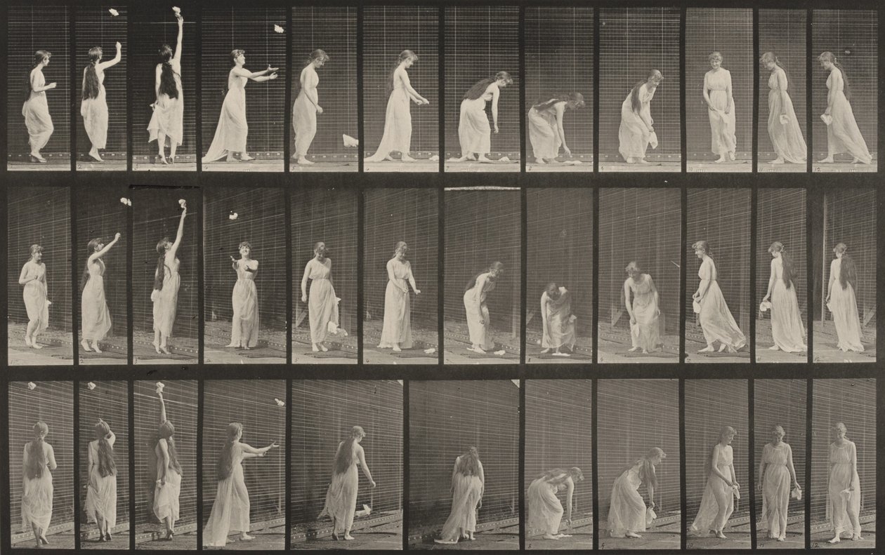 Tavle nummer 463. Strække sig op, bøje sig og vende sig om af Eadweard Muybridge