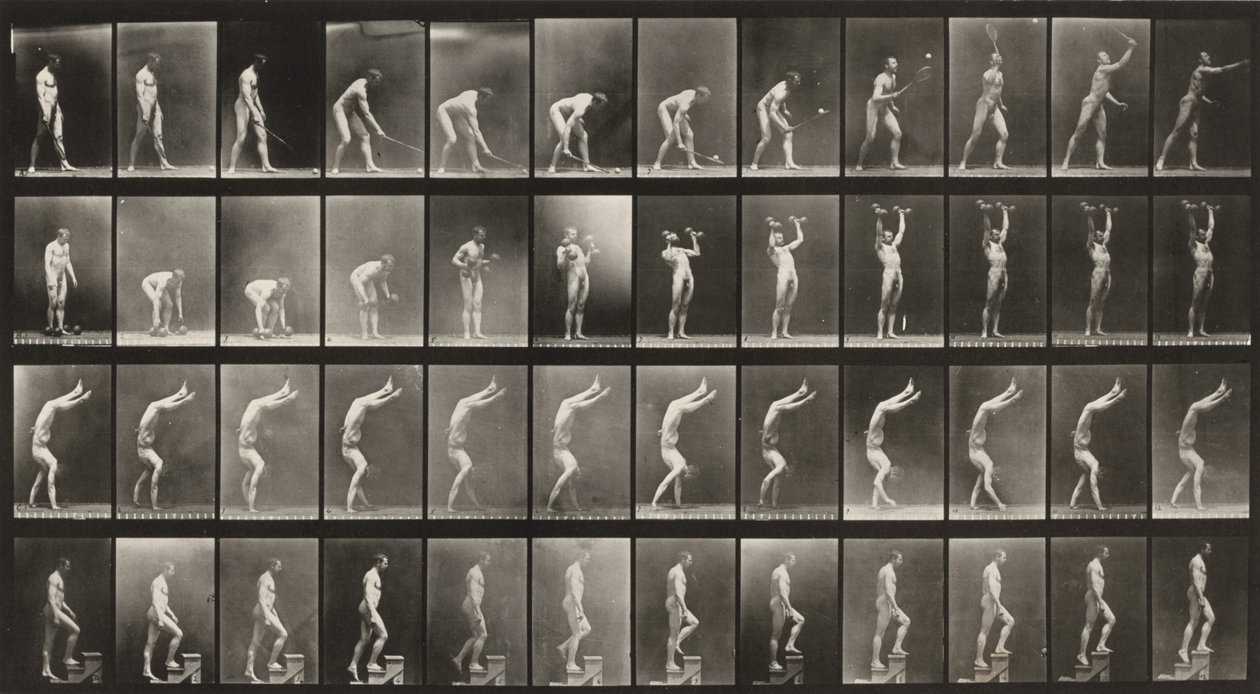 Tavle nummer 488. A: Græstennis. B: Håndvægte. C: Gang på hænderne. D: Gang op ad trapper af Eadweard Muybridge