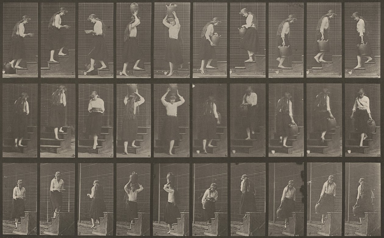 Tavle nummer 504. Op- og nedadgående trapper af Eadweard Muybridge