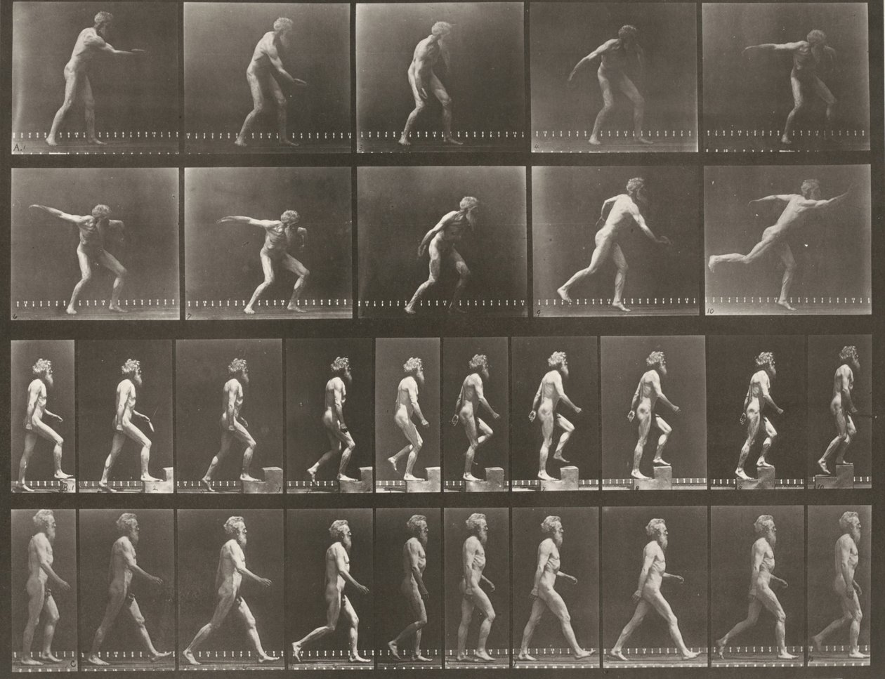 Plade nummer 519. A: Kast med diskos. B: At gå op ad et trin. C: Gang af Eadweard Muybridge