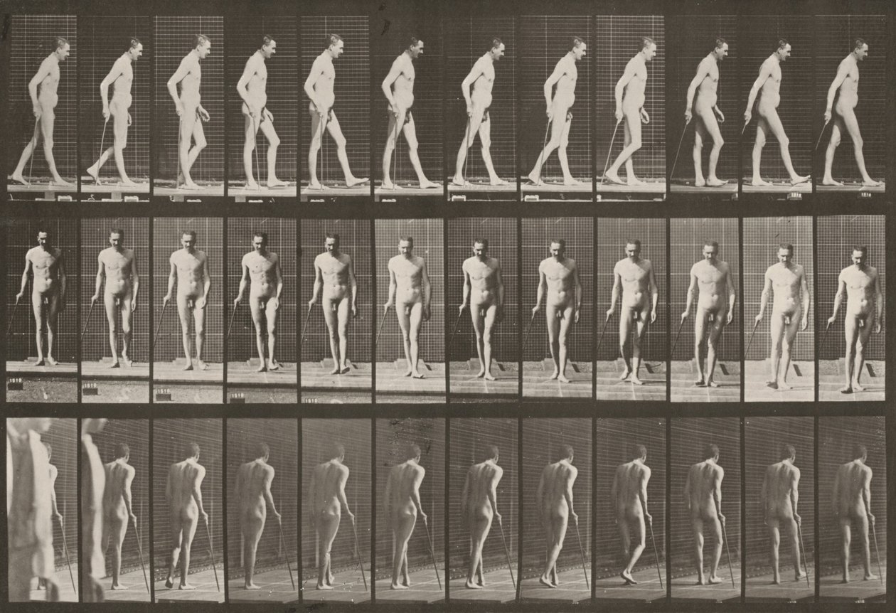 Tavle nummer 559. Delvis paraplegi, gang med stok af Eadweard Muybridge