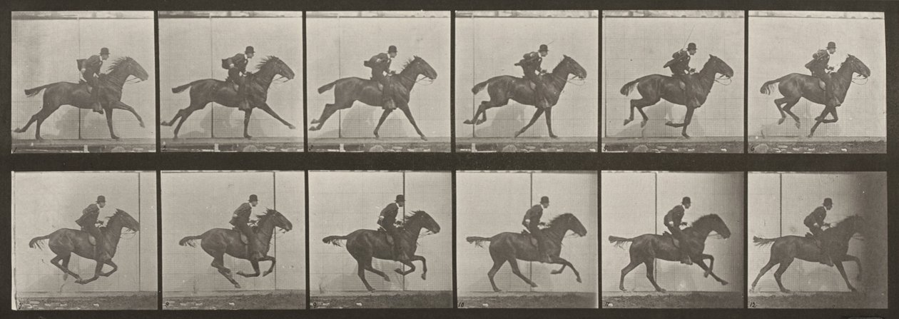 Tavle nummer 624. «Daisy» i galop, sadlet af Eadweard Muybridge
