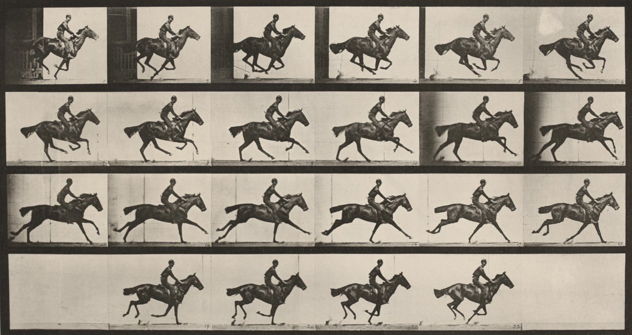 Tavle nummer 625. »Bouquet« i galop af Eadweard Muybridge