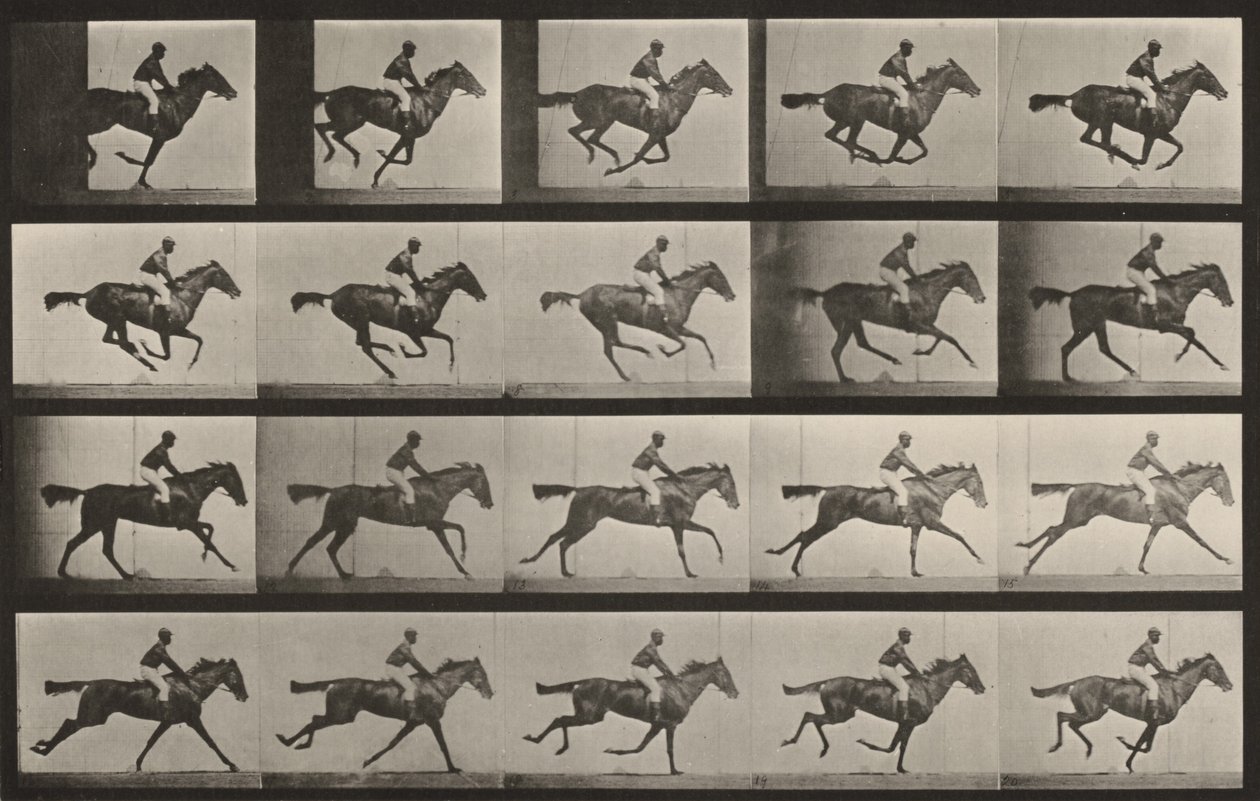 Tavle nummer 627. «Annie G.» i galop af Eadweard Muybridge