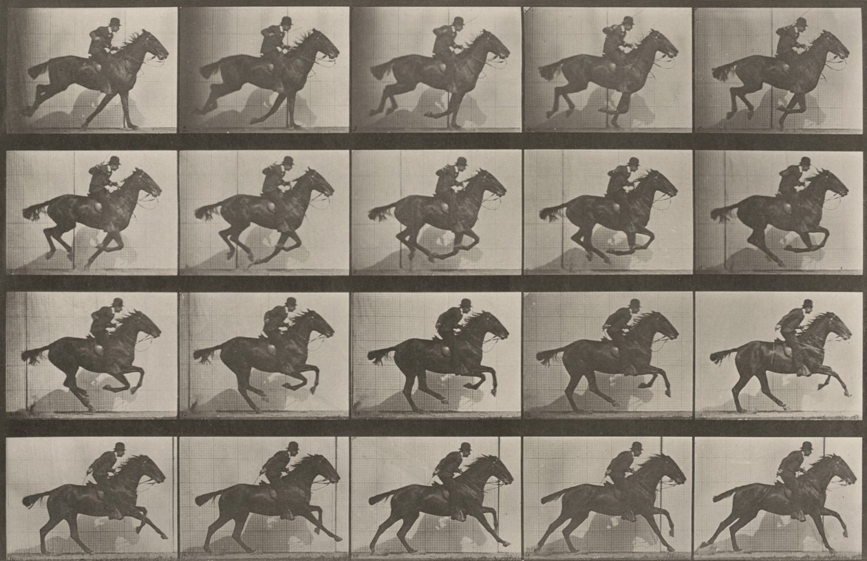 Tavle nummer 628. «Daisy» i galop af Eadweard Muybridge