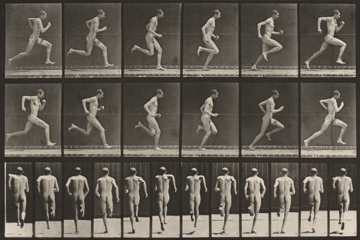 Tavle nummer 62. Løb med fuld fart af Eadweard Muybridge