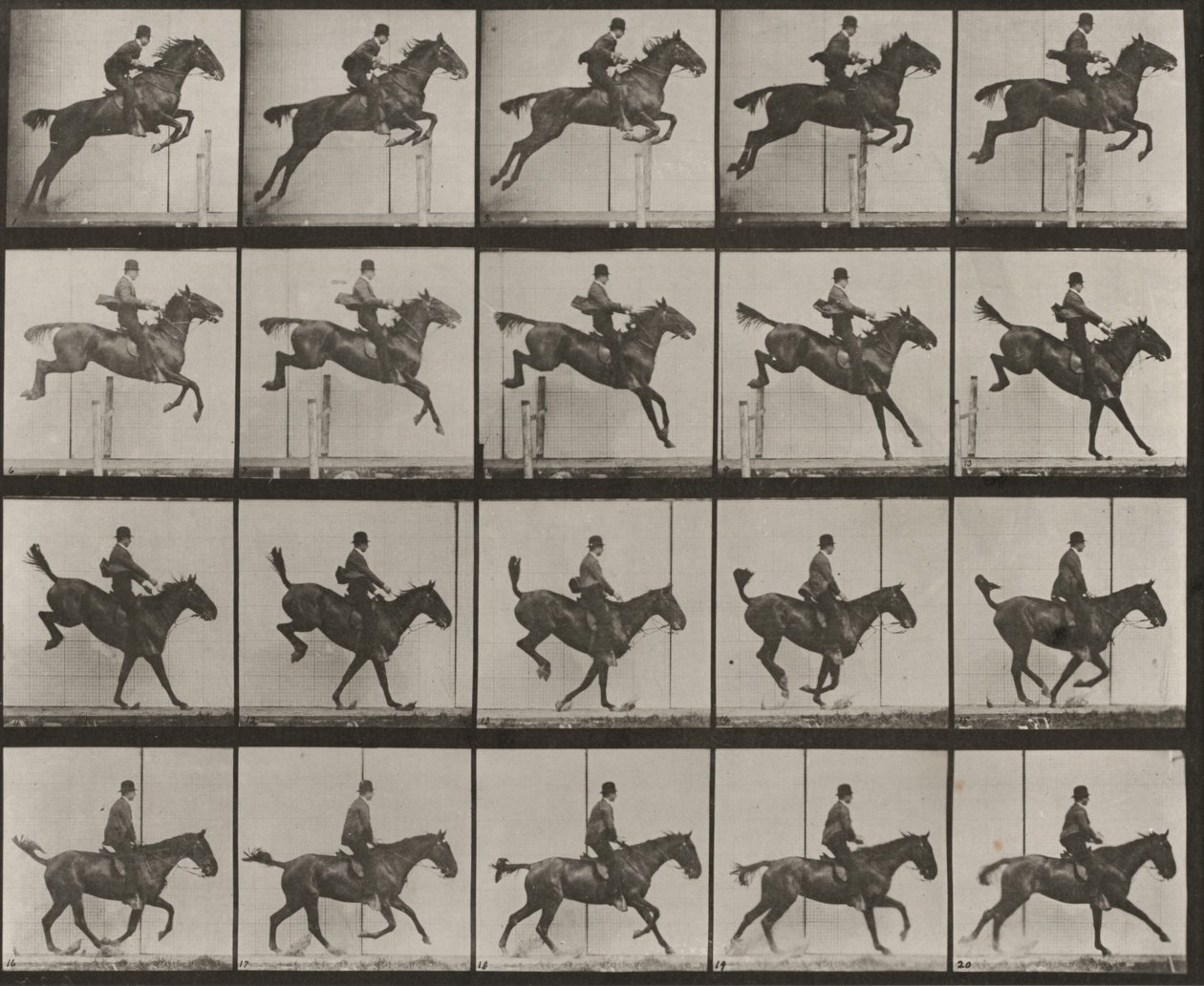 Tavle nummer 637. «Daisy» springer over en forhindring, sadlet, under springet, landingen og genopretningen af Eadweard Muybridge