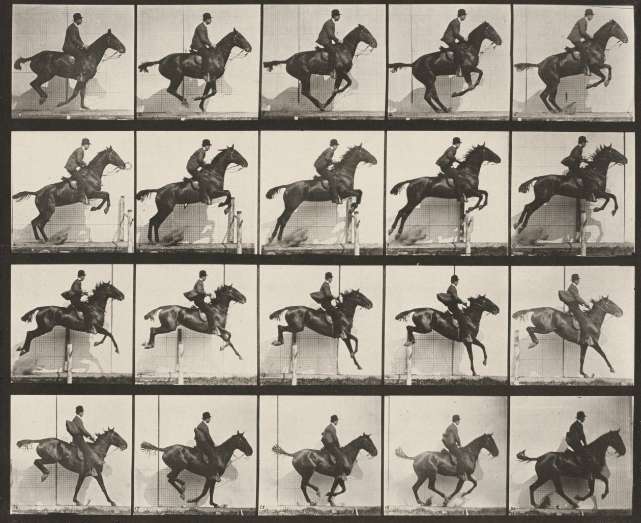 Tavle nummer 640. „Daisy“ springer over en forhindring, sadlet af Eadweard Muybridge