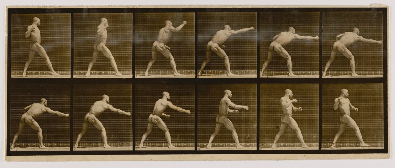 Pugilist slår et slag, fra bogen Animal Locomotion af Eadweard Muybridge