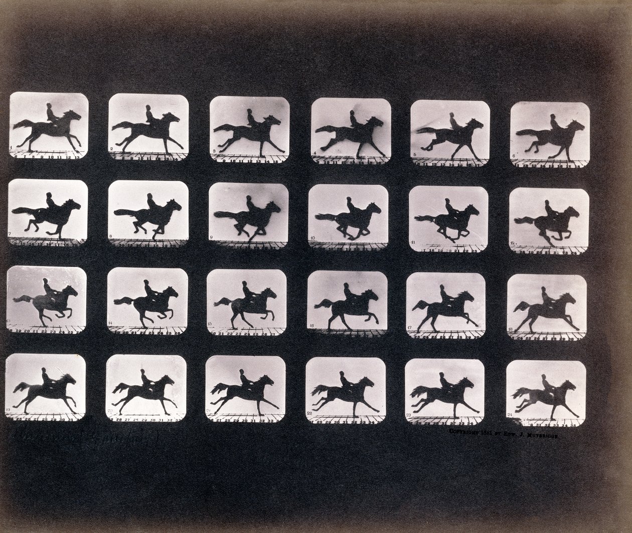 Running (Galloping) af Eadweard J. Muybridge af Eadweard Muybridge