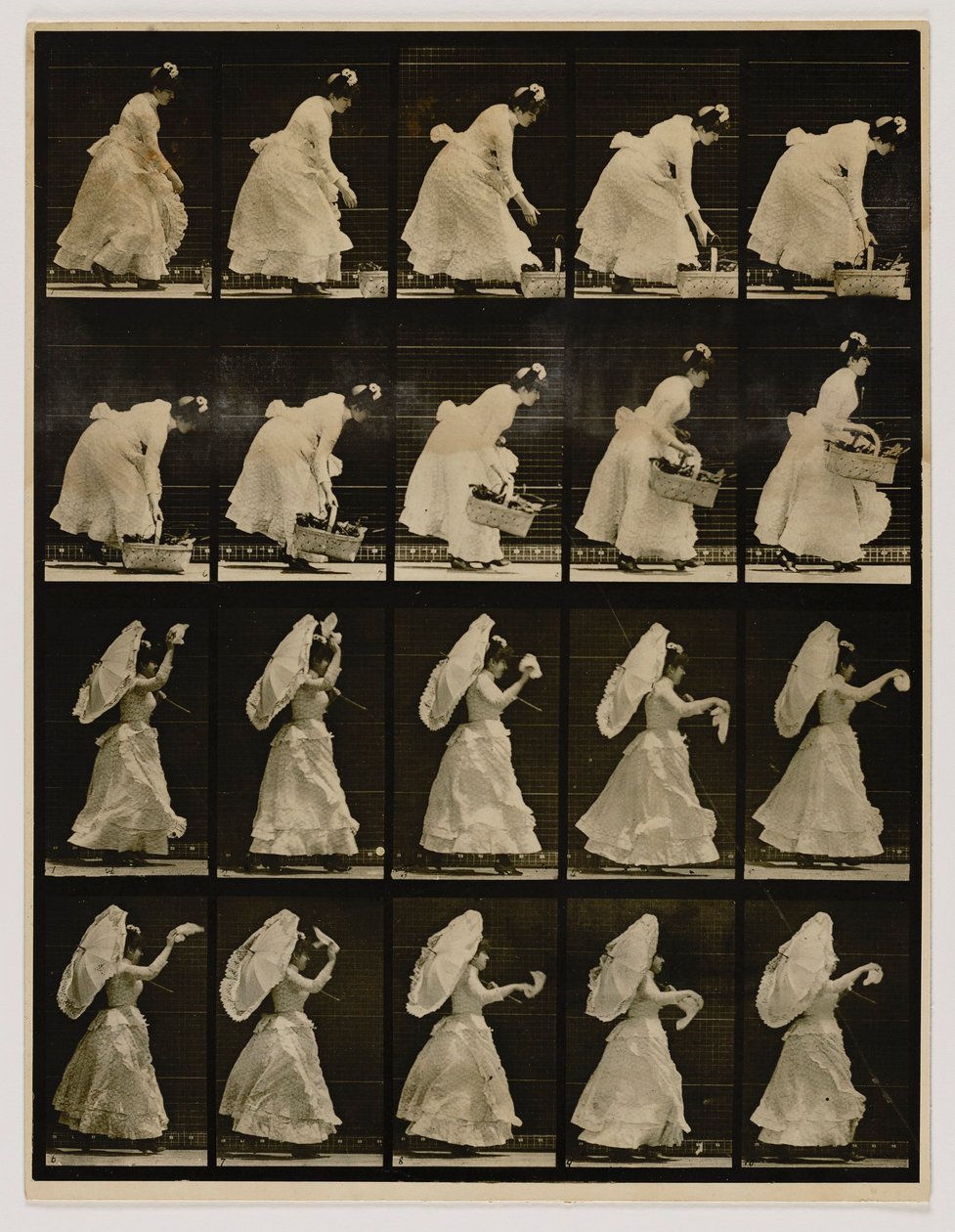 Kvinde løfter en kurv og vifter med et lommetørklæde, fra bogen Animal Locomotion af Eadweard Muybridge