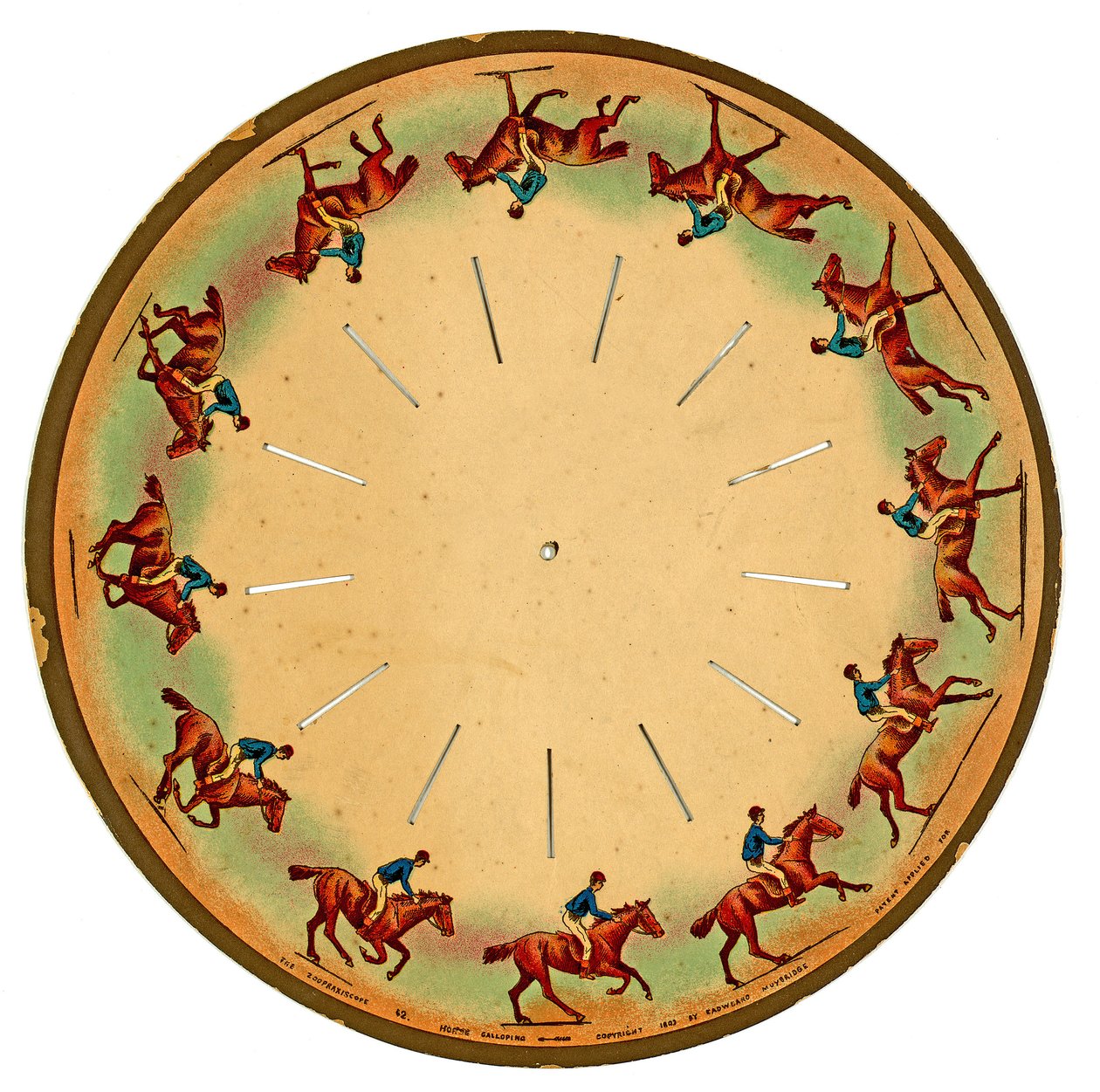 zoopraxiscopisk skive, der viser en hest i galop, 1893 af Eadweard Muybridge