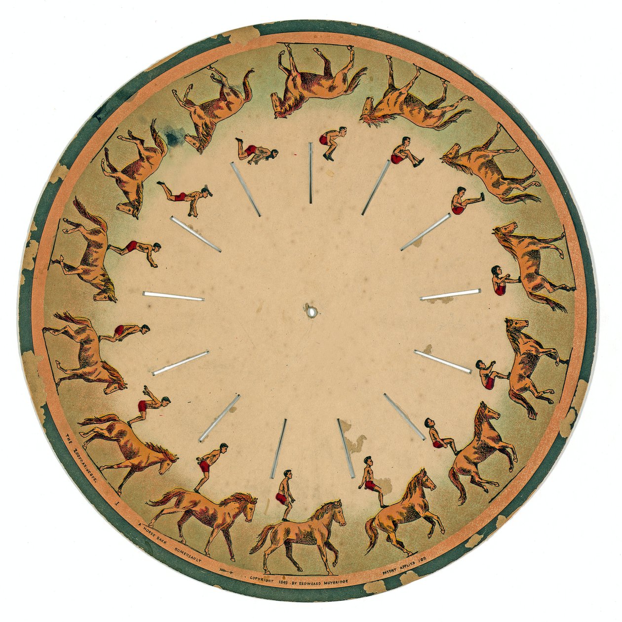 zoopraxiscopisk skive, der viser en akrobat, der udfører en salto på hesteryg, 1893 af Eadweard Muybridge