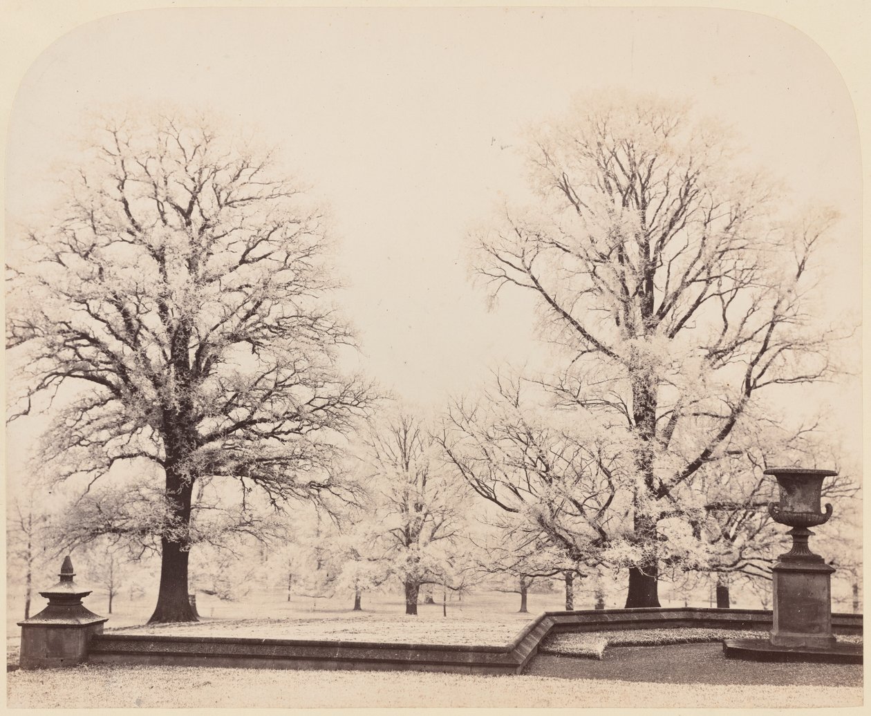 Rimfrost, en parkscene,1862 (foto) af Earl of Caithness
