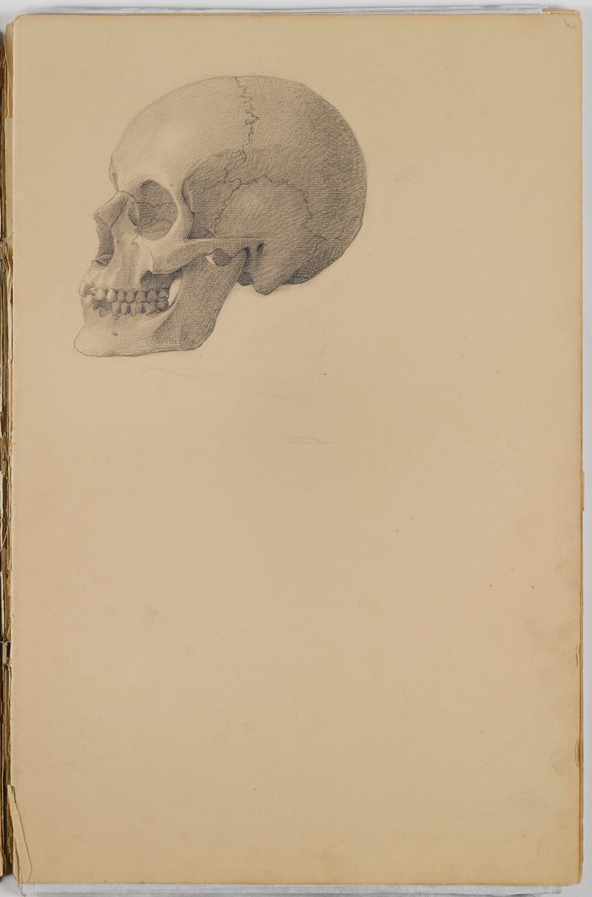 Anatomy Sketch Book, 1849 (skitsebog indeholdende tegninger i grafit) af Eastman Johnson