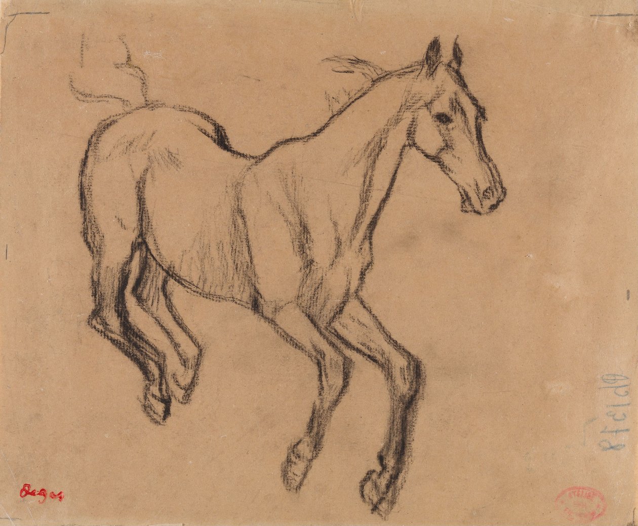 Galopperende hest af Edgar Degas